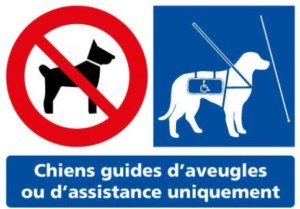 Chiens interdits