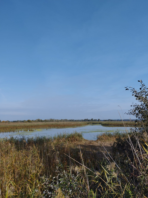 Le Marais de Meyranne - Le projet de Réserve Naturelle Régionale (RNR)
