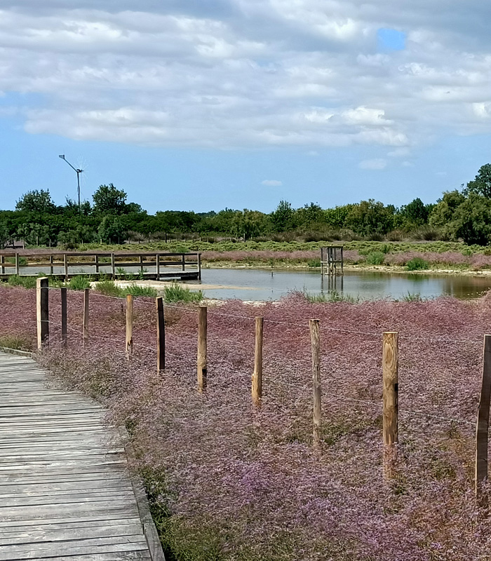 Les Marais du Vigueirat - Mécénat - Projets en recherche de financement - Extension du sentier Homme et Nature - Camargue