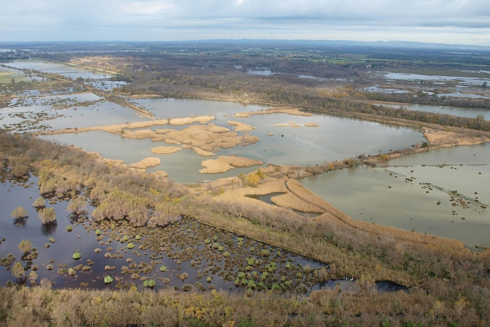 Camargue - Les Marais du Vigueirat - Paysages et milieux naturels - Des milieux humides à préserver