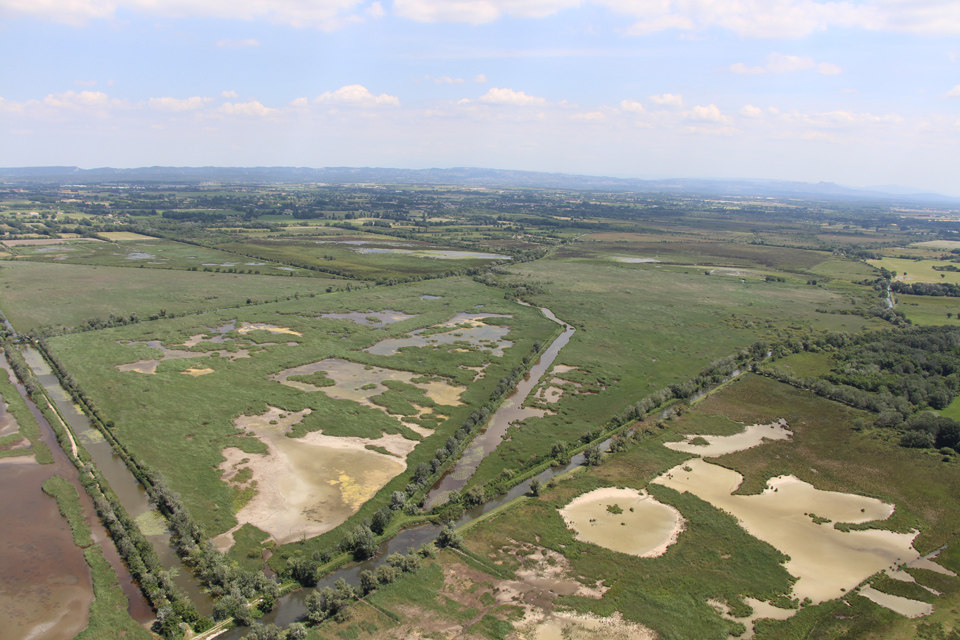 Le Marais de Meyranne - Delta du Rhône. Commune d’Arles, au sud du hameau de Raphèle les Arles, département des Bouches du Rhône (13)