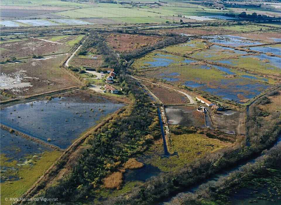 Réserve Naturelle des Marais du Vigueirat Camargue