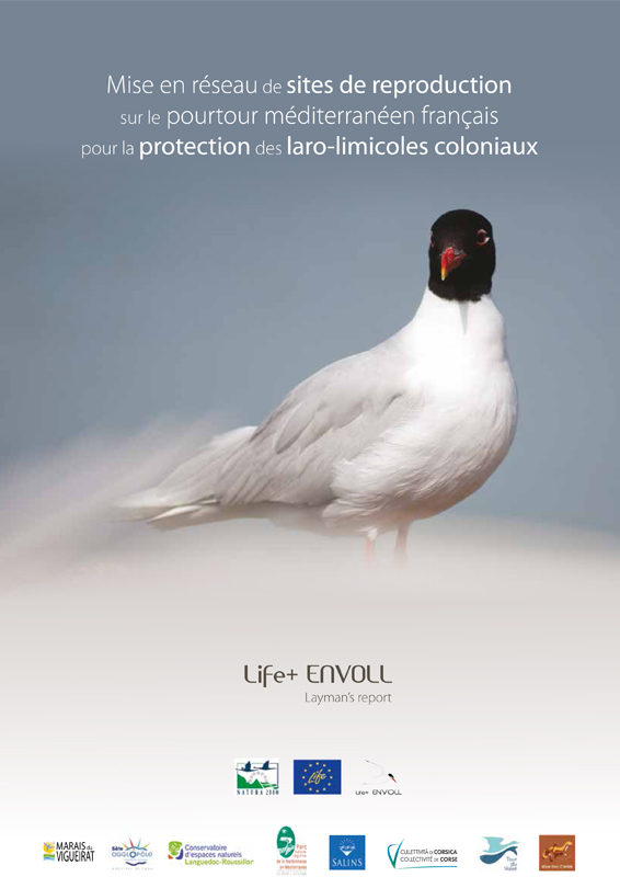 Mise en réseau de sites de reproduction sur le pourtour méditerranéen français pour la protection des laro-limicoles coloniaux