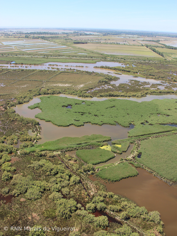 Réserve Naturelle des Marais du Vigueirat Camargue