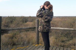 Pour les passionnés de nature, au cœur de la Réserve Naturelle des Marais du Vigueirat Camargue