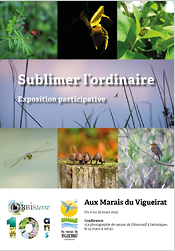 Exposition Sublimer l'ordinaire - Orbisterre - Mars 2023