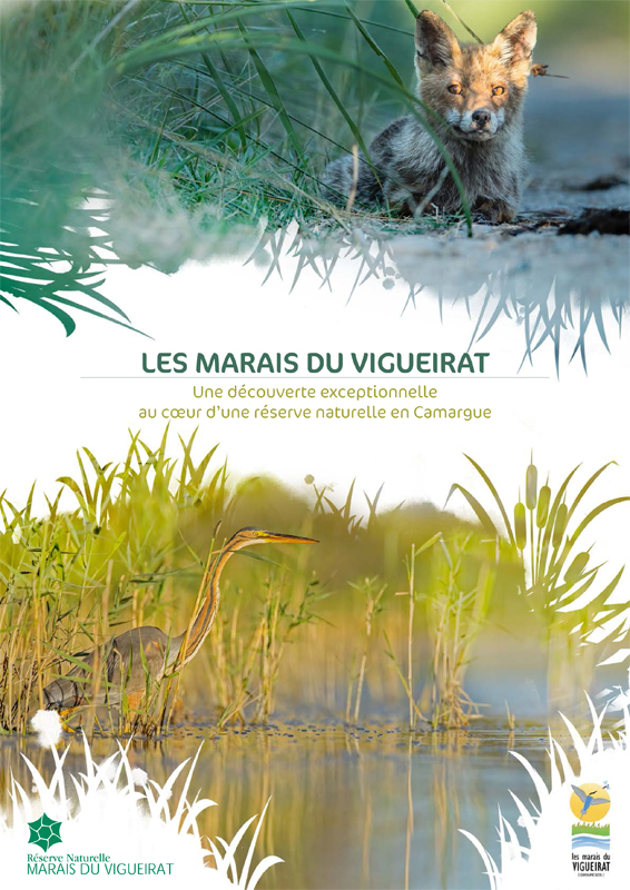 Les Marais du Vigueirat - Groupe