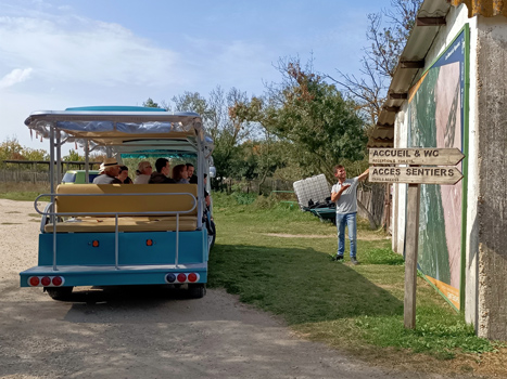 Minibus électrique - visite guidée - Camargue