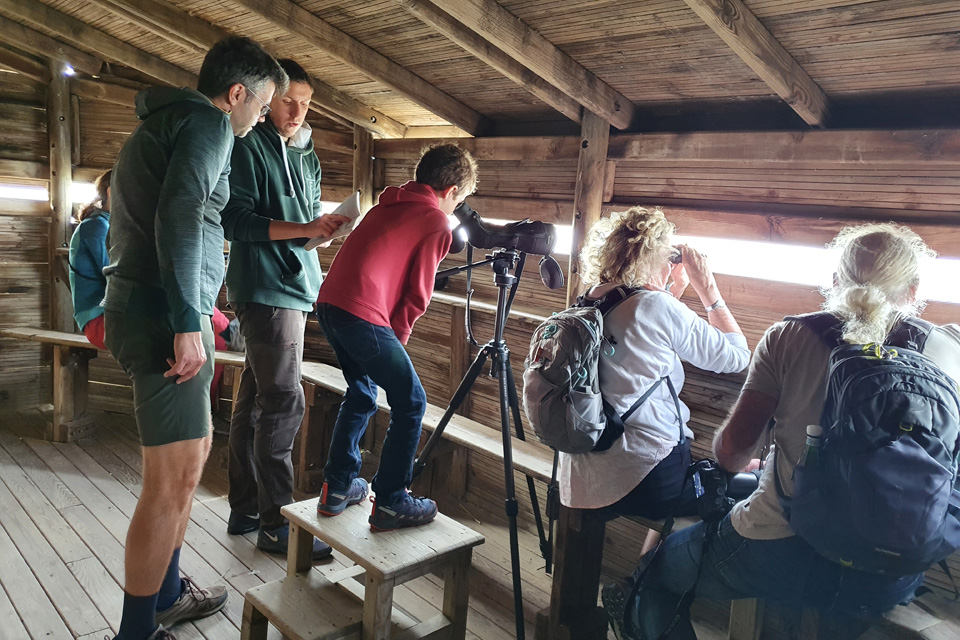 Observatoire - Visite guidée - Réserve Naturelle des Marais du Vigueirat Camargue