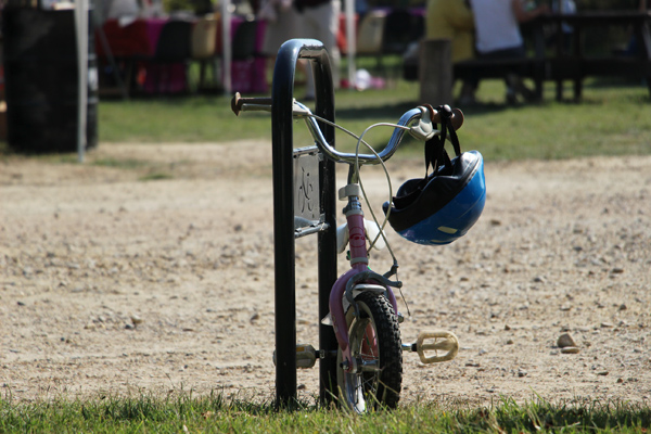 Vélo jusqu'aux Marais du Vigueirat depuis la piste cyclable ViaRhôna au départ d’Arles ou Port-Saint-Louis du Rhône