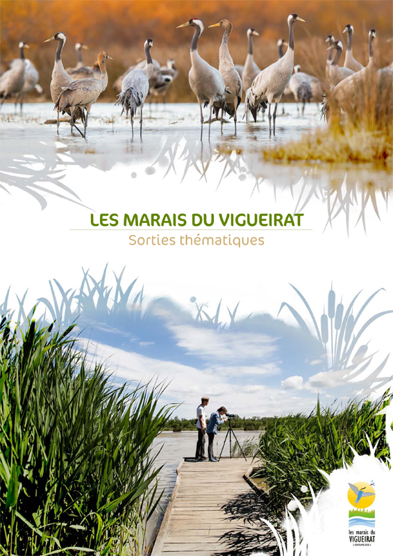 Les Marais du Vigueirat - Groupe - Sortie thématique