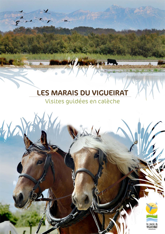 Les Marais du Vigueirat - Groupe - Visite en calèche