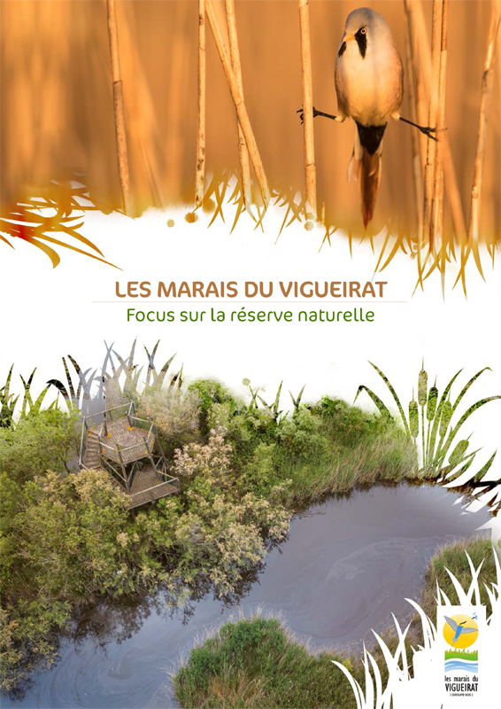 Les Marais du Vigueirat - Groupe - Visite naturaliste Réserve Naturelle