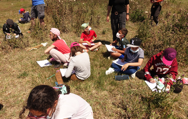 Les Marais du Vigueirat - Pour les scolaires - Vie ma vie de naturaliste au Cassaïre