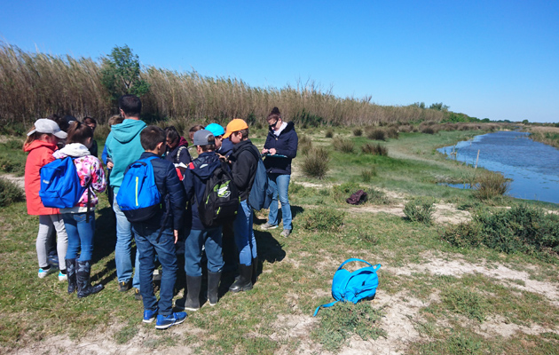 Les Marais du Vigueirat - Pour les scolaires - Activités et ateliers pédagogiques à destination des scolaires