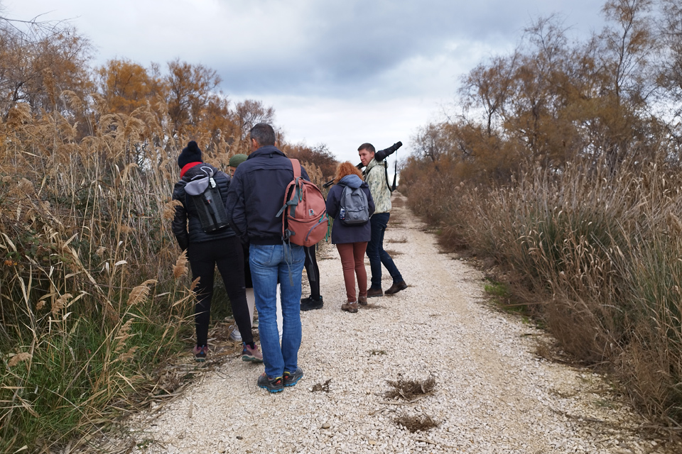 Visite guidée - Réserve Naturelle des Marais du Vigueirat Camargue