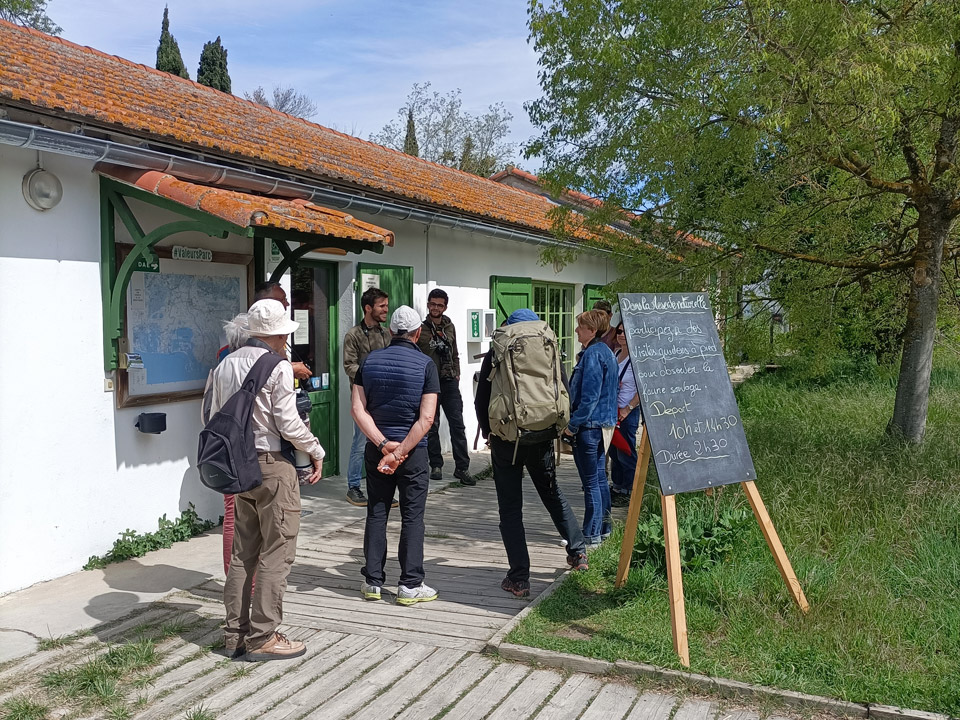 Visite naturaliste, visite nature - Réserve Naturelle des Marais du Vigueirat Camargue