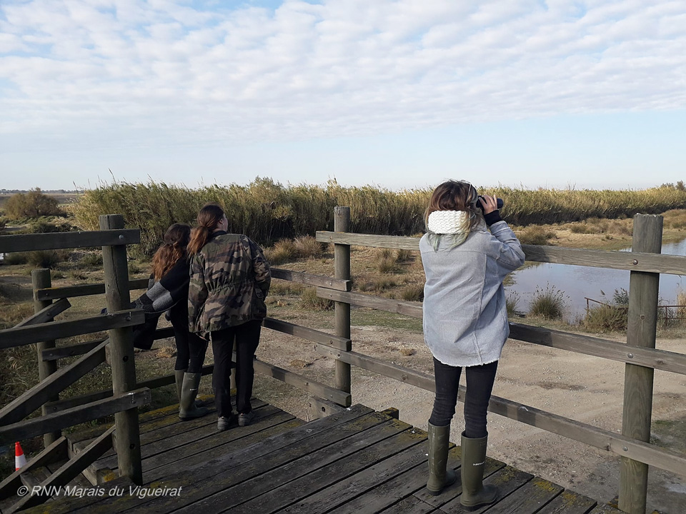 Visite naturaliste, visite nature - Réserve Naturelle des Marais du Vigueirat Camargue