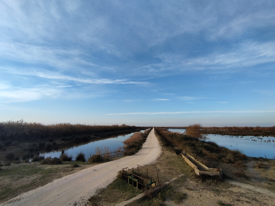 Piste visite guidée Camargue