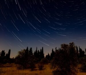 festival camargue arles