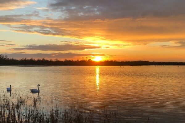 Coucher de soleil en Camargue