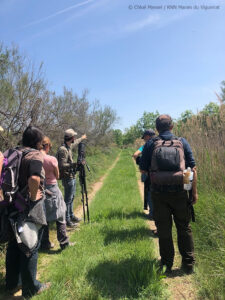 Randonnée en Camargue Arles avec guide naturaliste 