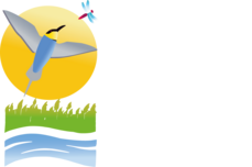 Les Marais du Vigueirat