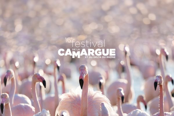 16ème festival de la Camargue