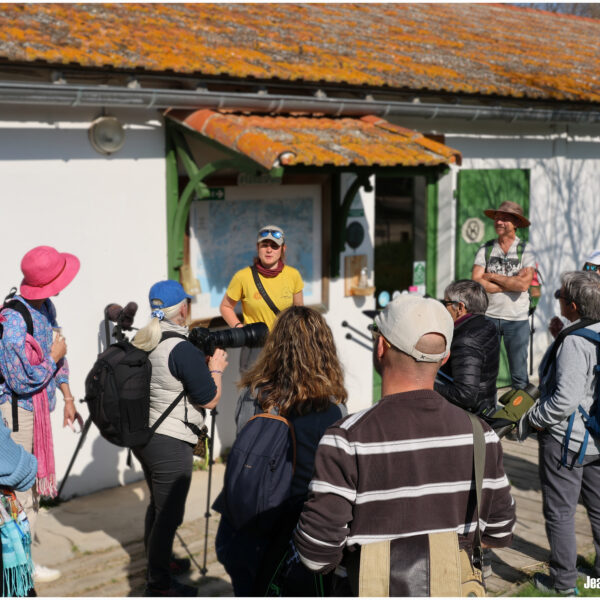 Visite cigognes 06.03.25