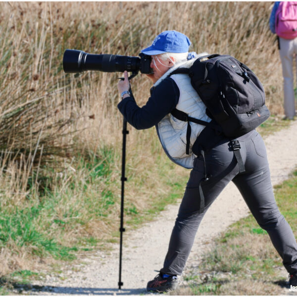 Visiteuse2 Marais du Vigueirat
