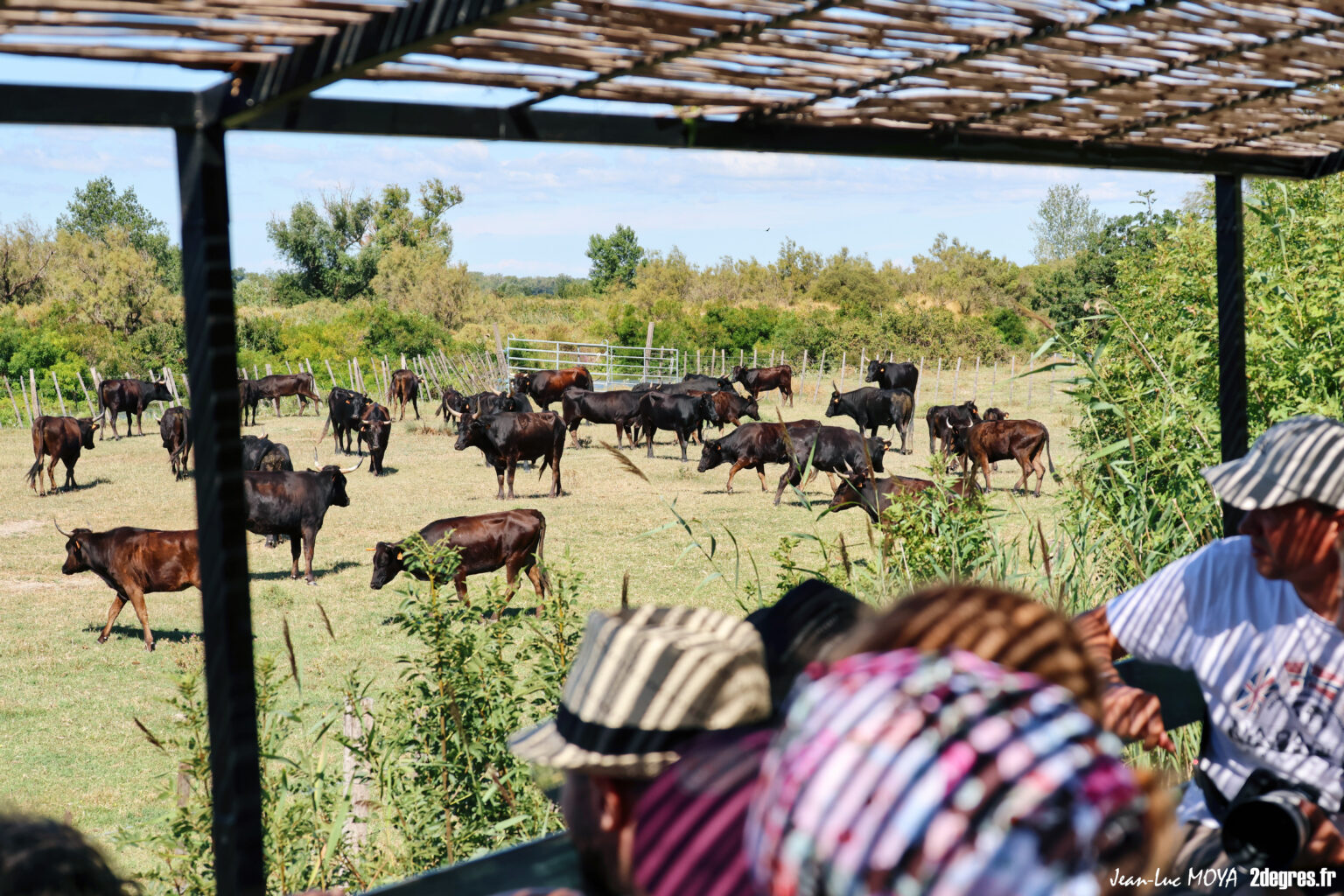 Visite guidée Calèche 25.07.25 - 2 ©J-Luc Moya 2 Degrés