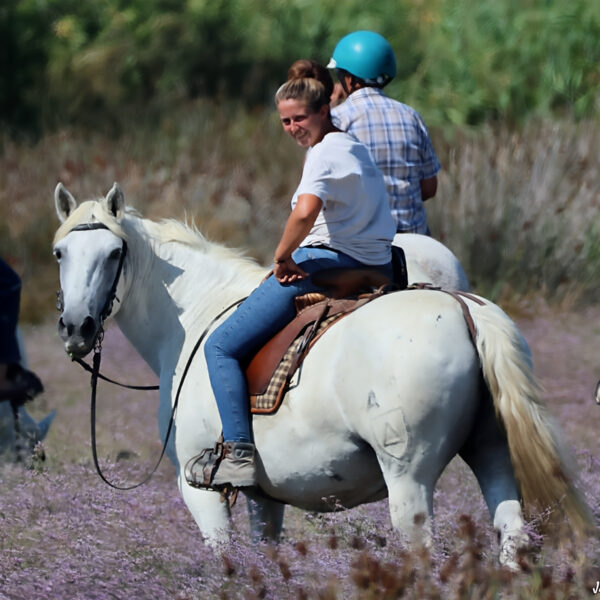 Balade à cheval 1 © J-Luc Moya 2 degrés-1