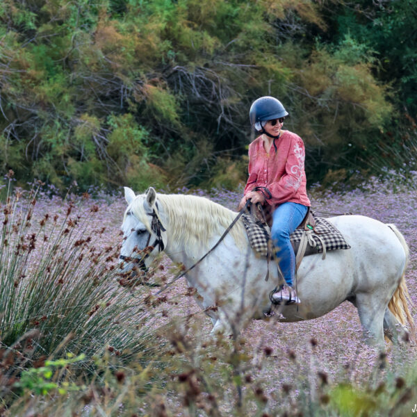 Balade à cheval