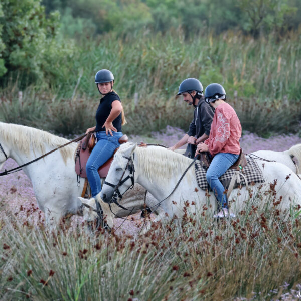Balade à cheval 21.08.25 ©J-Luc Moya