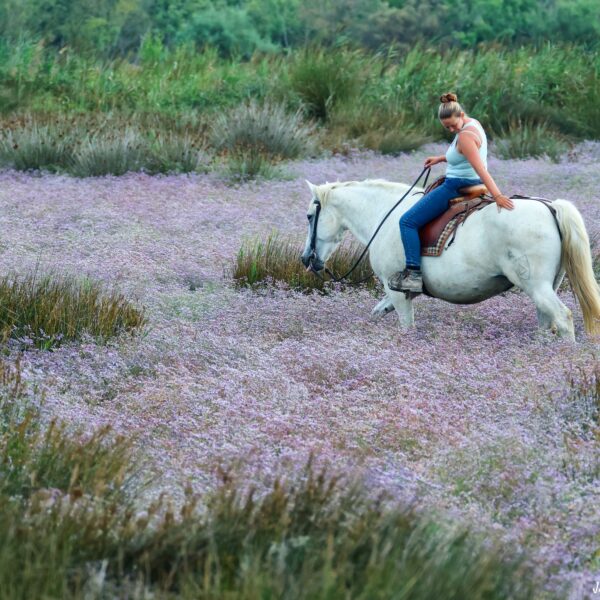 Balade à cheval 21.08.25-12-1 ©J-Luc Moya 2 degrés