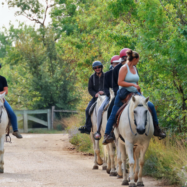 Balade à cheval 21.08.25 ©J-Luc Moya