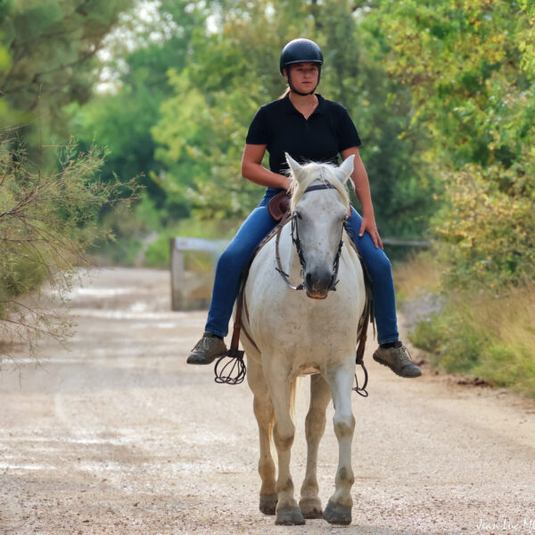 Balade à cheval