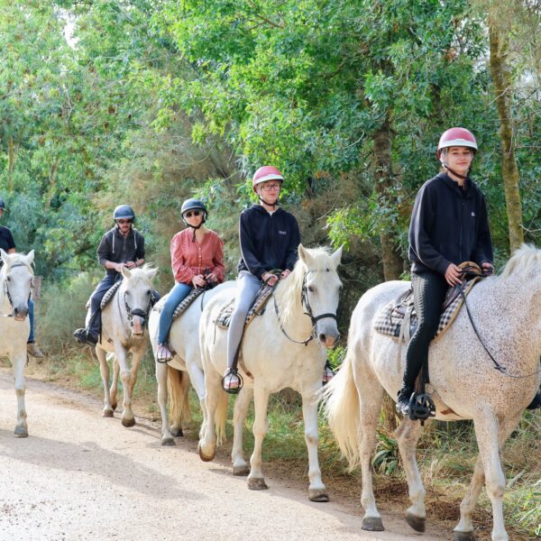 Balade à cheval