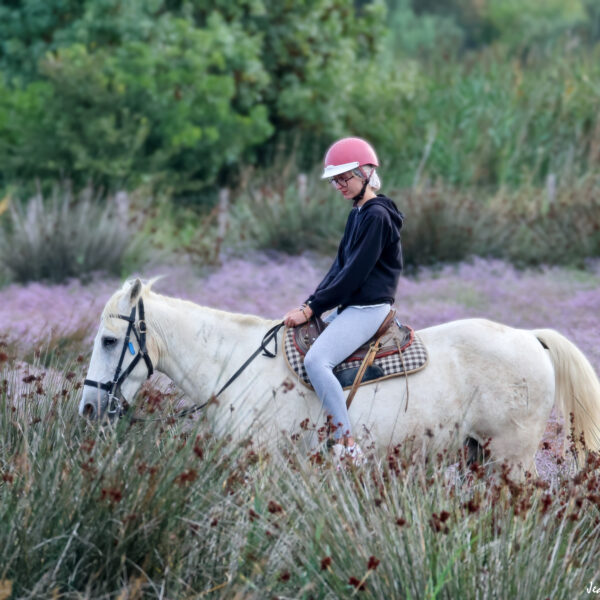 Balade à cheval 21.08.25 ©J-Luc Moya