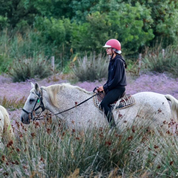 Balade à cheval