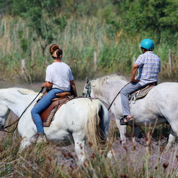 Balade à cheval 5 © J-Luc Moya 2 degrés