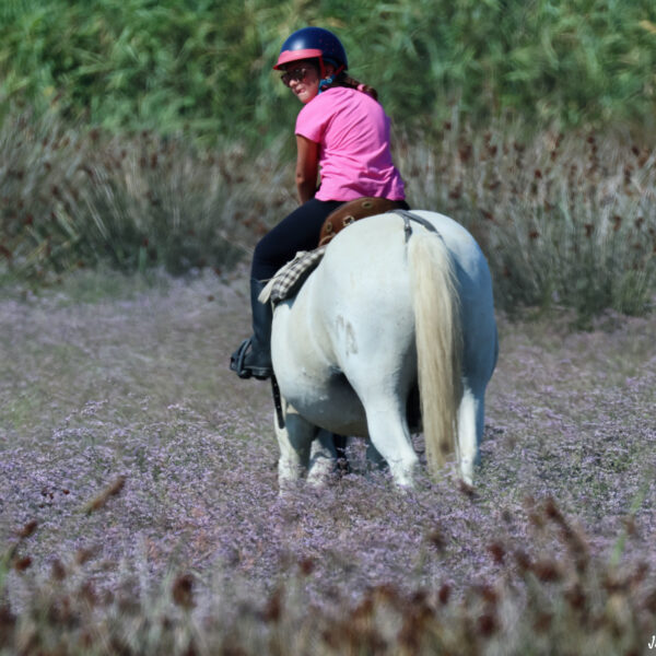 Balade à cheval 7 © J-Luc Moya 2 degrés