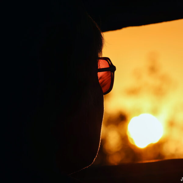 Coucher soleil Observatoire Marais du Vigueirat ©J-Luc Moya 2 degrés