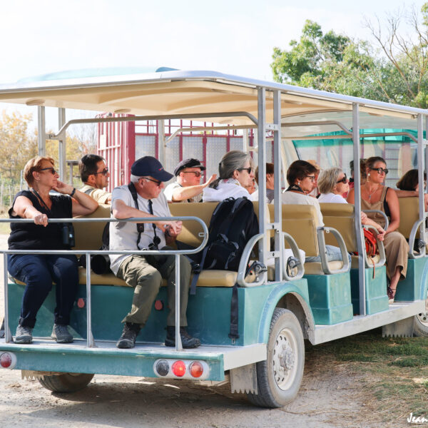 Groupe mini bus ©J-Luc Moya 2 Degrés