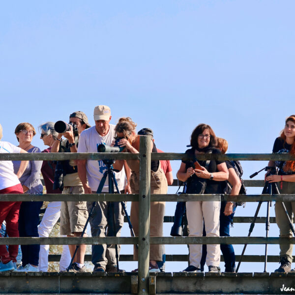 Groupe promontoir ©J-Luc Moya 2 Degrés