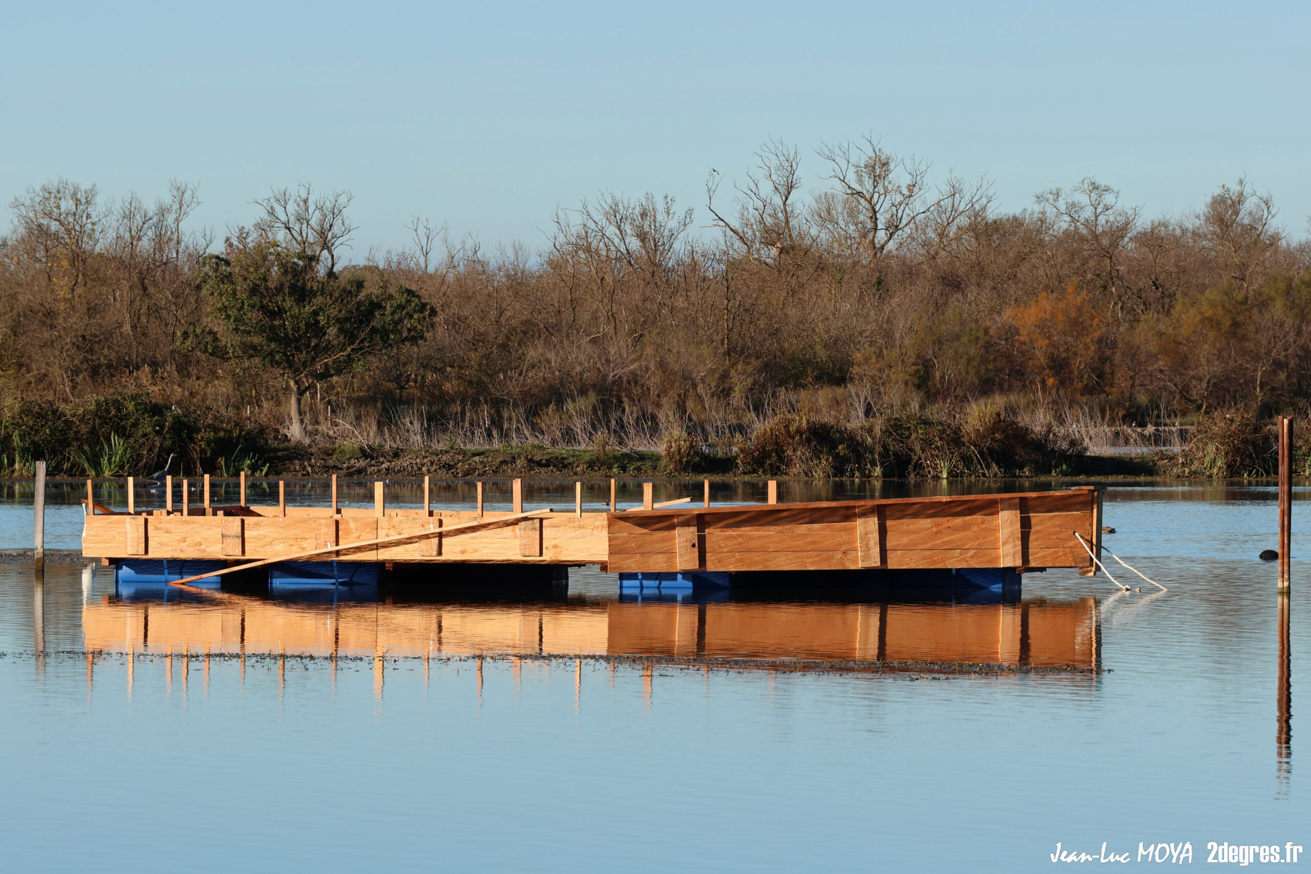 Mise en place d’un radeau de nidification