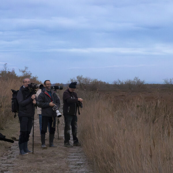 Stage photo © Nicolas Watine