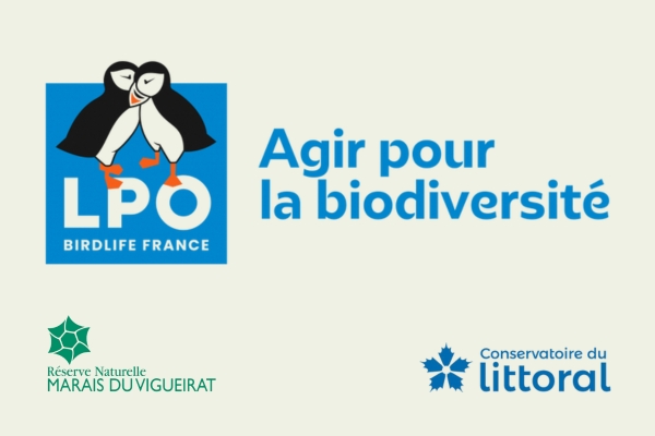 La LPO, nouveau gestionnaire des Marais du Vigueirat