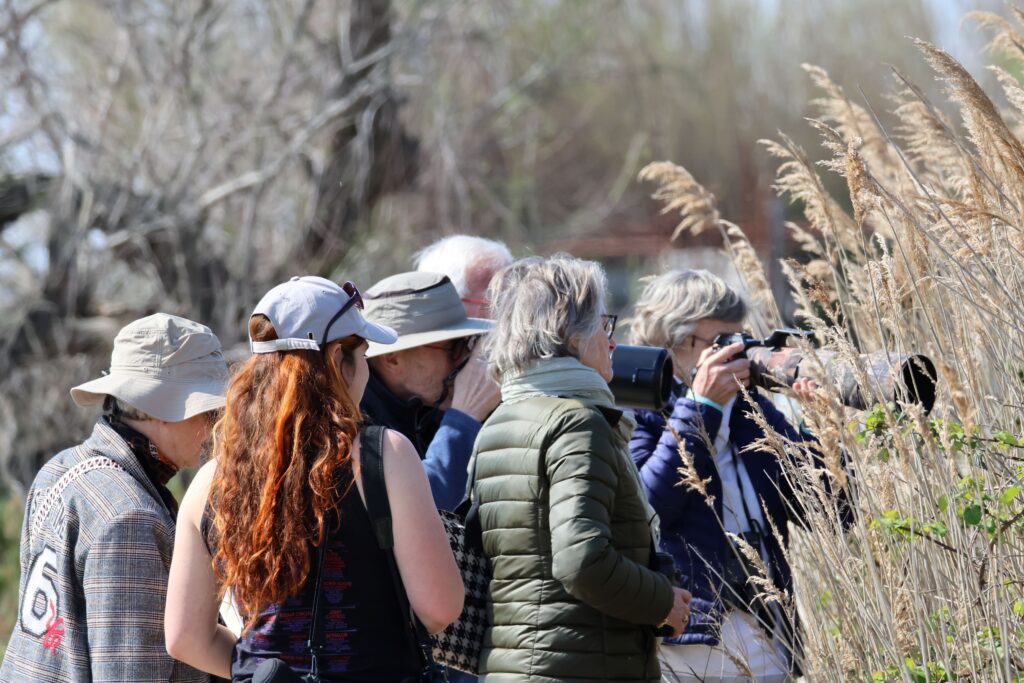 Visite guidée du 24.03.26 ©J-Luc Moya • 2° Communication