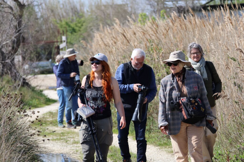 Visite guidée 24.03.26 ©J-Luc Moya • 2° Communication